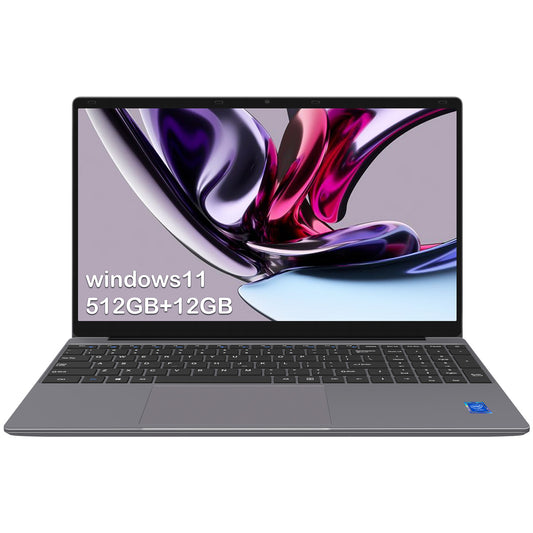 Apolosign 15.6 inch 12GB RAM 512GB SSD Laptop